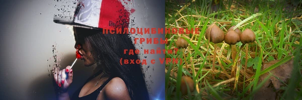 прущая мука Абинск